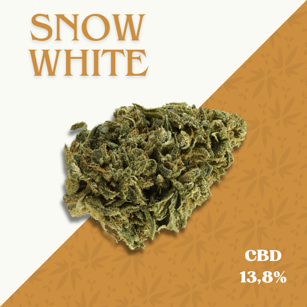 SNOW WHITE