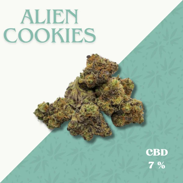 ALIEN COOKIES